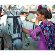 CACERES / SEVILLA 3 Days Package 2