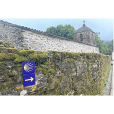 ST. JAMES´ WAY Portuguese Way 8 Days